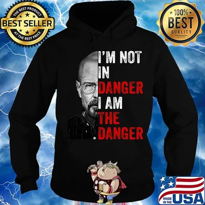 Breaking bad i'm not in danger i am the danger s Hoodie