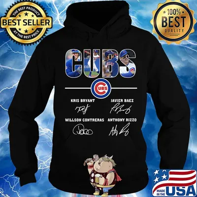 Chicago cubs baseball team players signatures s Hoodie