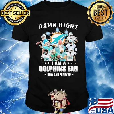 Damn right i am a dolphins fan now and forever stars shirt