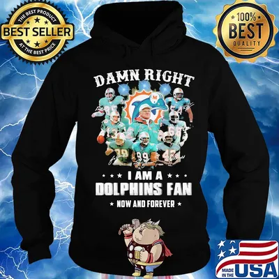 Damn right i am a dophins fan now and forever stars s Hoodie