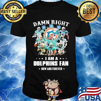 Damn right i am a dophins fan now and forever stars shirt