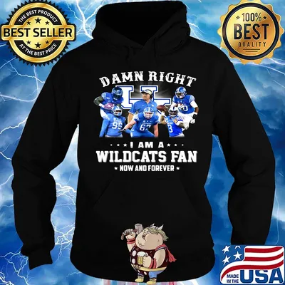Damn right i am a wildcats fan now and forever stars s Hoodie