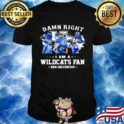 Damn right i am a wildcats fan now and forever stars shirt