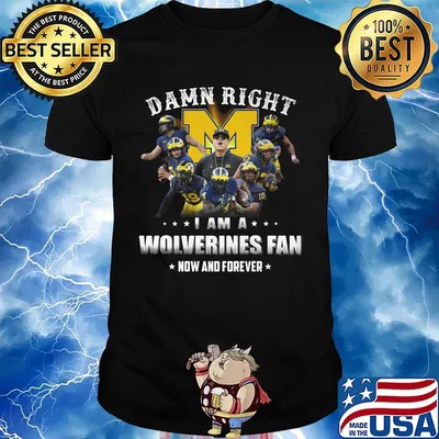 Damn right i am a wolverines fan now and forever stars shirt