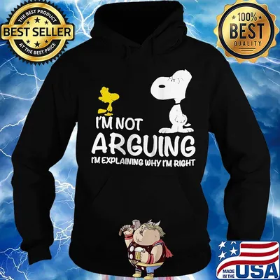 Disney snoopy and woodstock i'm not arguing i'm explaining why i'm right s Hoodie