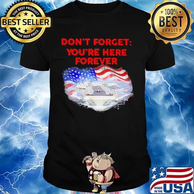 Don't forget you're here forever flag american shirt
