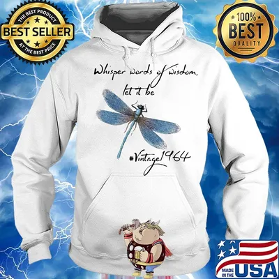 Dragonfly whisper words of wisdom let it be vintage 1964 s Hoodie
