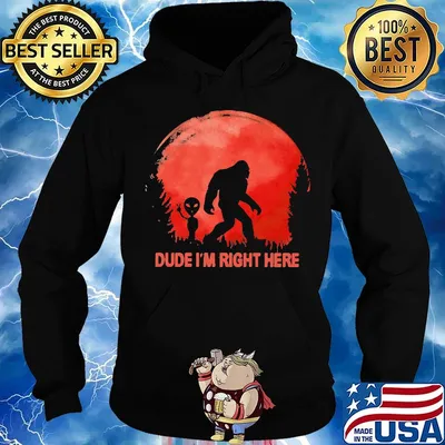 Dube I'm right here Bigfoot sunset s Hoodie