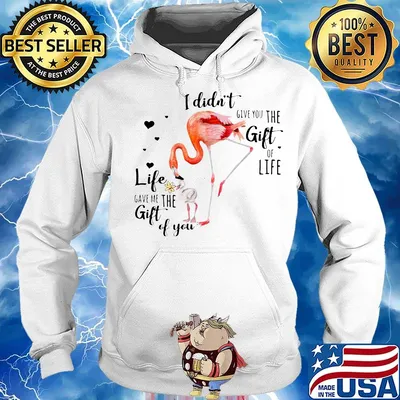 Flamingo I Didn't Give You The Gift Of Life Heart Shirt Hoodie