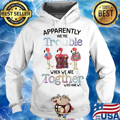 Flamingos apparently we're trouble when we are together who knew s Hoodie
