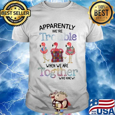 Flamingos apparently we're trouble when we are together who knew shirt