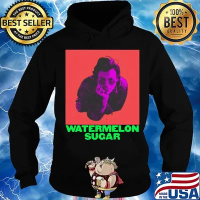 Harry styles watermelon sugar merch watermelon sugar s Hoodie