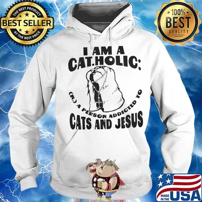 I am a catholic a person addicted to cats and jesus s Hoodie