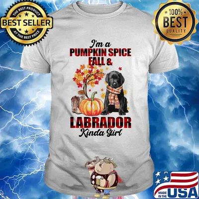 I am pumpkin spice fall and labrador kinda girl shirt