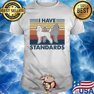 I have standards vintage retro shirt
