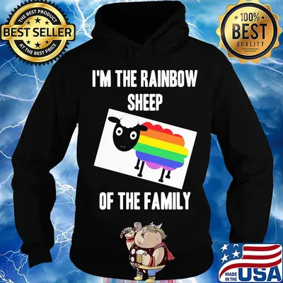I'm the rainbow sheep of the family LGBT s Hoodie