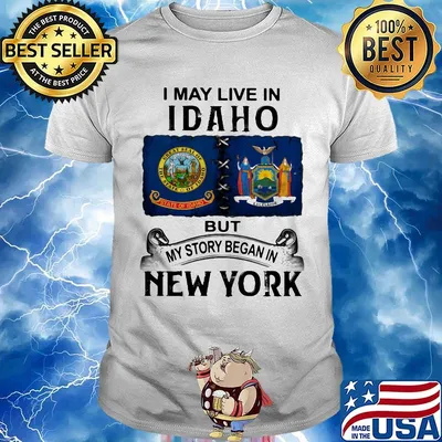 I may live Iowa but my story began in new york shirt