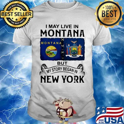 I may live montana but my story began in new york shirt