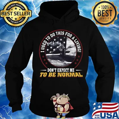 I used to do this for a living don't expect me to be normal s Hoodie