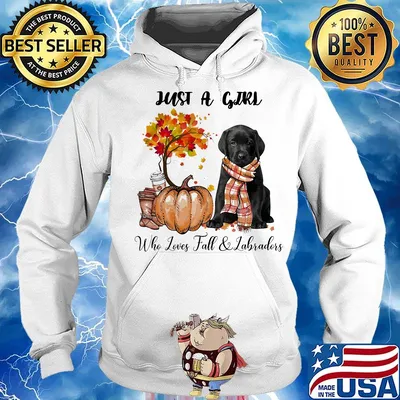 Just a girl who loves fall and labradors tree pumpkin s Hoodie