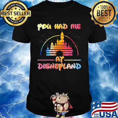 Lgbt you had me at disneyland shirt