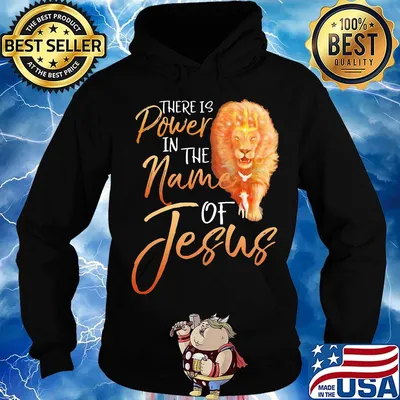 Lion there is power in the name of jesus s Hoodie