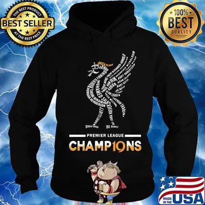 Liverpool fc premier league champions 2019 2020 logo s Hoodie