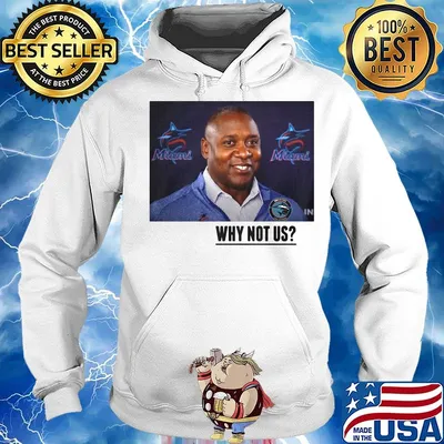 Miami marlins baseball why not us Shirt Hoodie
