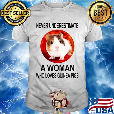 Never underestimate a woman who loves guinea pig sunset shirt