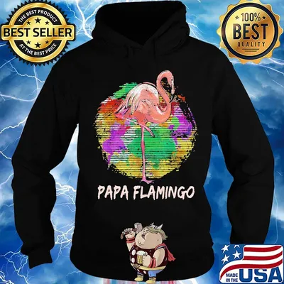 Papa Flamingo Color Circle Shirt Hoodie