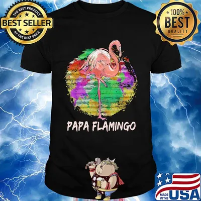 Papa Flamingo Color Circle Shirt