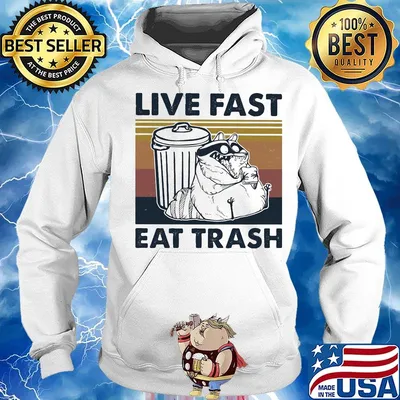Raccoon live fast eat trash vintage retro s Hoodie