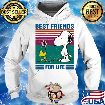 Snoopy and woodstock flower best friends for life vintage retro s Hoodie
