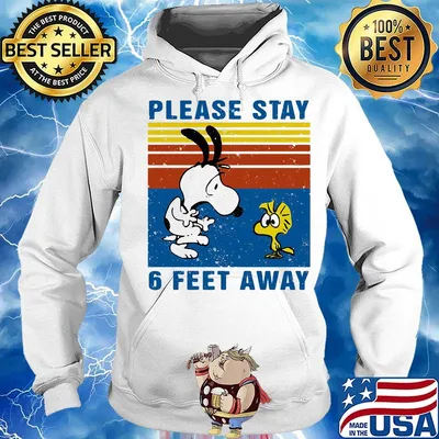 Snoopy and woodstock please stay 6 feet away vintage retro s Hoodie