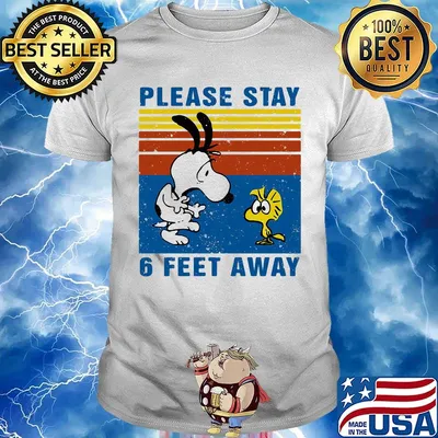 Snoopy and woodstock please stay 6 feet away vintage retro shirt