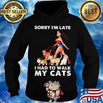 Sorry I'm late I had to walk my cats girl American s Hoodie