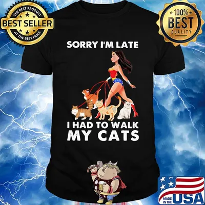 Sorry I'm late I had to walk my cats girl American shirt