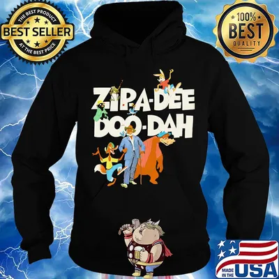 Splash mountain zip a dee doo dah s Hoodie