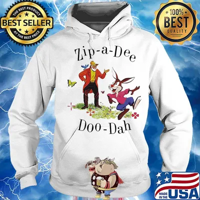 Splash mountain zip a dee doo dah s Hoodie