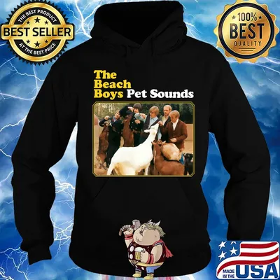 The beach boys pet sounds s Hoodie