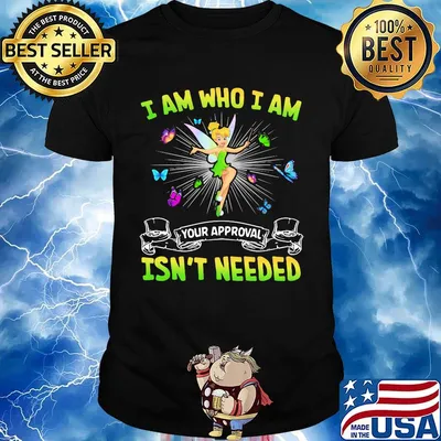 Tinkerbell and butterflies i'm not arguing im just explaining why i'm right shirt