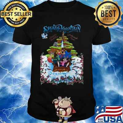 Walt disney world magic kingdom splash mountain shirt