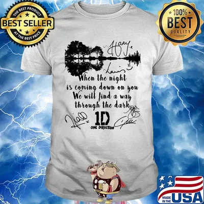When the light is coming down on you we will find a way through the dark one direction signatures shirt