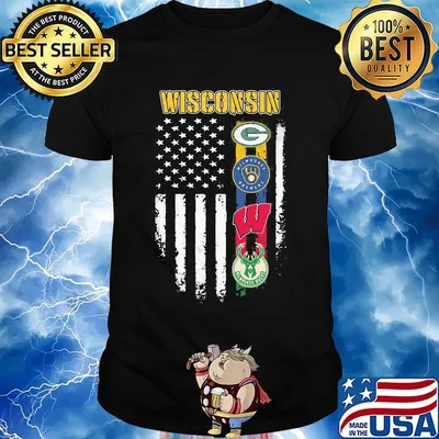 Wisconsin american flag independence day shirt