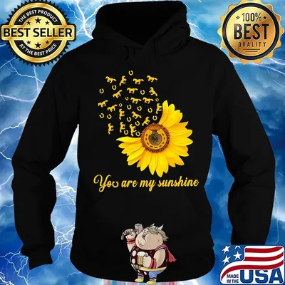 You are my sunshine sunflower horseshoe s Hoodie
