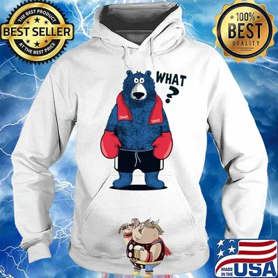 Bear boxing champions what s Hoodie