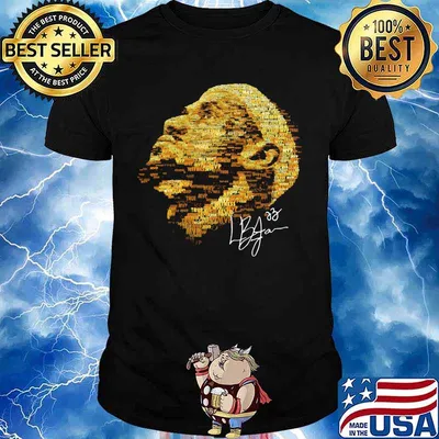 Lebron james signature art shirt