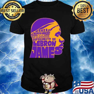 Los angeles lakers champion nba 2020 2021 lebron james shirt