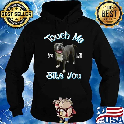 Pitbull touch me and i will bite you s Hoodie