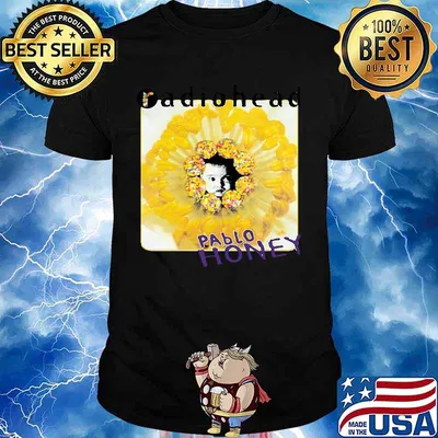 Radiohead pablo honey flower shirt